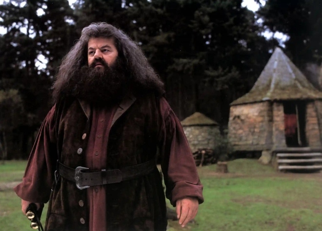 Những dấu ấn trong sự nghiệp của Robbie Coltrane: Từ James Bond đến Harry Potter - Ảnh 9.