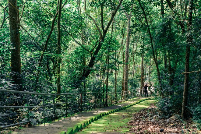 Những điểm “sống ảo” đẹp như phim, đã có từ lâu ở Vũng Tàu nhưng bây giờ mới nổi trở lại - Ảnh 2.