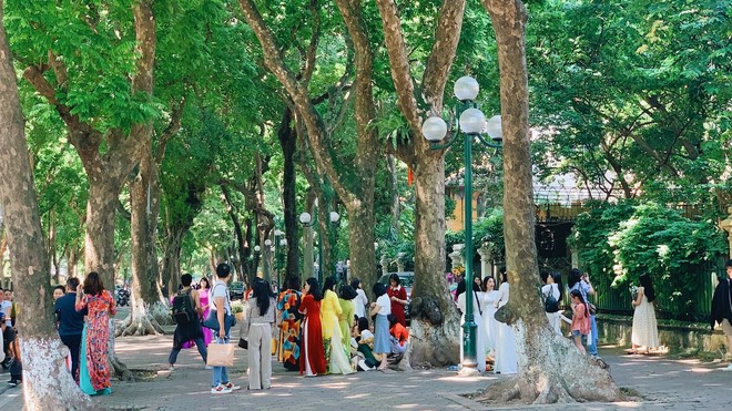 Choáng ngợp khung cảnh người người đổ về phố Phan Đình Phùng để chụp ảnh, săn nắng thu thơ mộng - Ảnh 3.