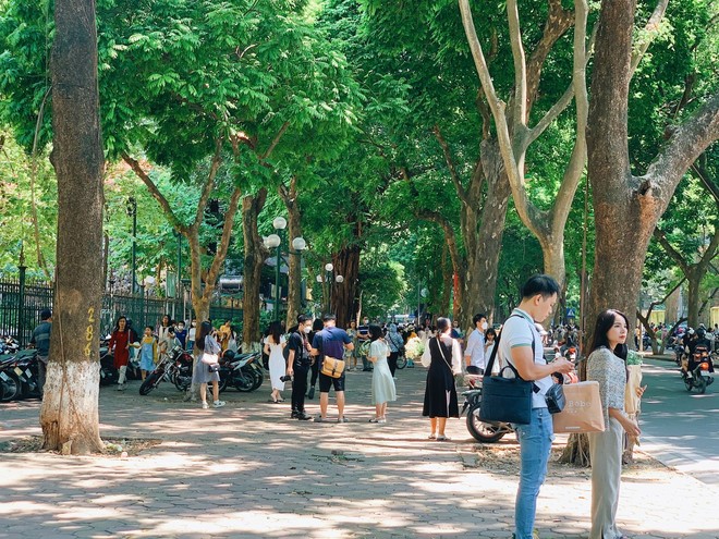 Choáng ngợp khung cảnh người người đổ về phố Phan Đình Phùng để chụp ảnh, săn nắng thu thơ mộng - Ảnh 1.