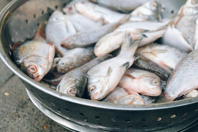 B&iacute; mật của m&oacute;n c&aacute; kho trứ danh ở tiệm cơm bụi đắt nhất nh&igrave; H&agrave; Nội - Ảnh 4.