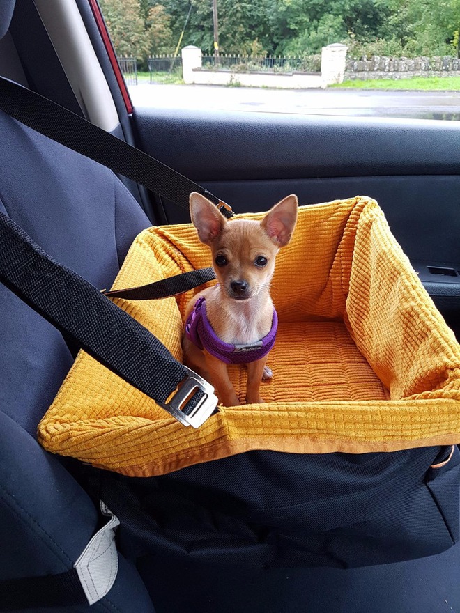 12 m&oacute;n đồ gi&uacute;p mỗi chuyến du lịch của bạn đều trở n&ecirc;n th&uacute; vị - Ảnh 6.