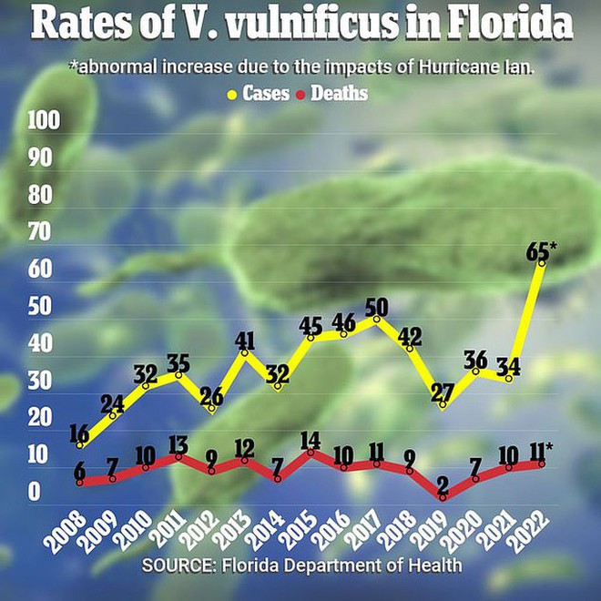 Bùng phát nỗi lo vi khuẩn ăn thịt người ở Florida - Ảnh 4.