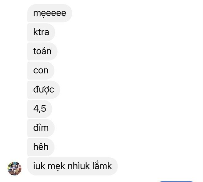 Con nhắn tin “khoe” bài kiểm tra 4,5 điểm và cách ứng xử không tin nổi của bà mẹ ở TPHCM - Ảnh 2.