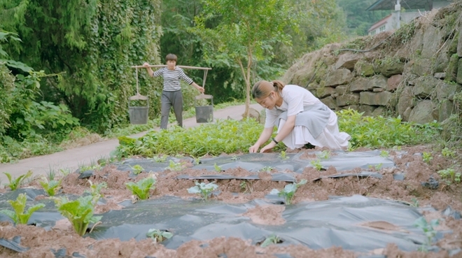 Xu hướng 5 ngày làm việc ở phố, 2 ngày cuối tuần rủ nhau về quê làm ruộng để giải tỏa áp lực - Ảnh 6.