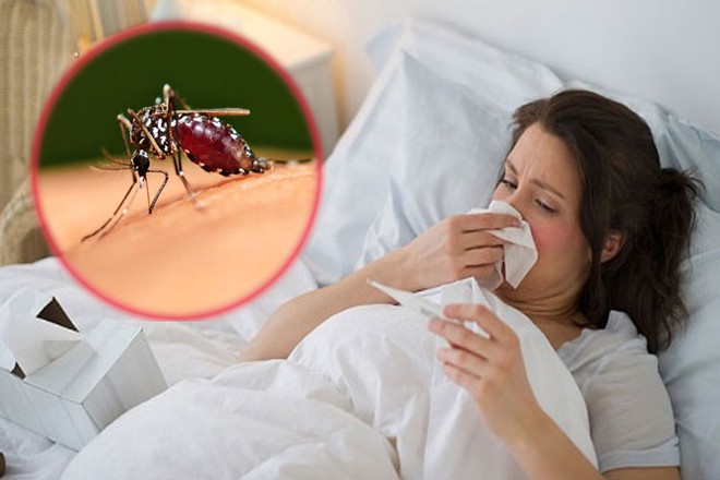 Dịch sốt xuất huyết lớn có nguy cơ xảy ra vào cuối năm 2022: Cảnh báo những đối tượng mắc sốt xuất huyết dễ bị trở nặng - Ảnh 2.