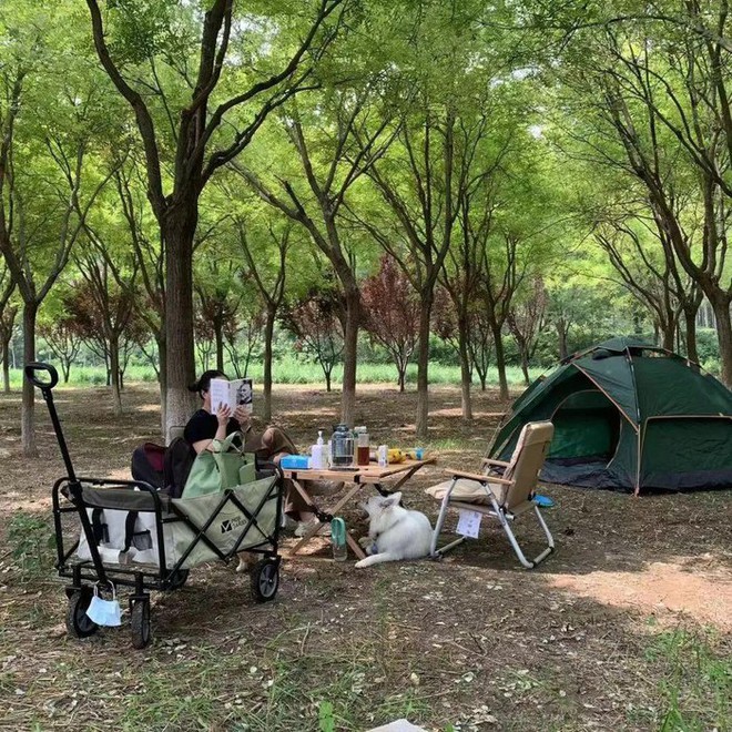 Xu hướng 5 ngày làm việc ở phố, 2 ngày cuối tuần rủ nhau về quê làm ruộng để giải tỏa áp lực - Ảnh 2.