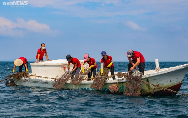 Tận mắt xem ngư dân Phú Quốc khai thác kho ngọc tiền tỷ dưới đáy biển - Ảnh 5.