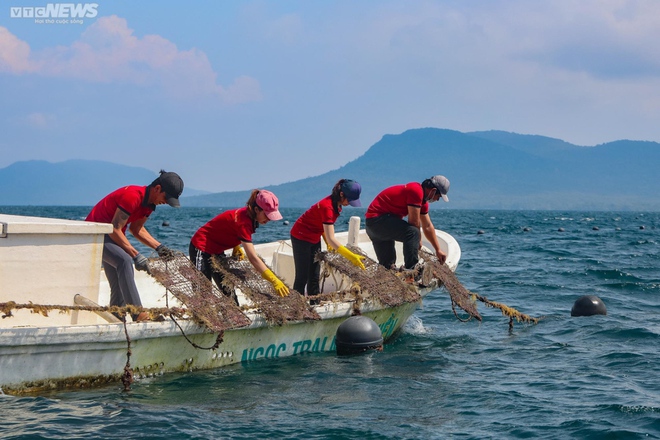 Tận mắt xem ngư dân Phú Quốc khai thác kho ngọc tiền tỷ dưới đáy biển - Ảnh 4.