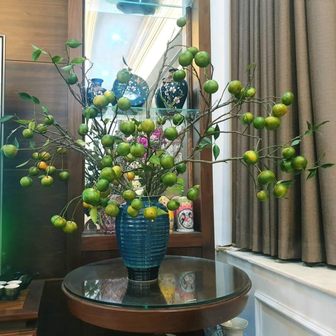 Chị em đua nhau mua về cắm thay hoa, c&agrave;nh cam biến th&agrave;nh h&agrave;ng độc lạ - Ảnh 3.