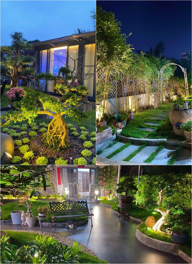 Khu vườn s&acirc;n thượng 255m&sup2; được chủ nh&acirc;n ki&ecirc;n tr&igrave; chăm s&oacute;c qua 10 năm - Ảnh 2.