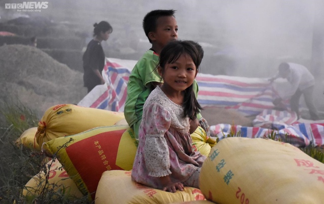 Ngắm c&aacute;nh đồng l&uacute;a ch&iacute;n v&agrave;ng tuyệt đẹp tr&ecirc;n lưng chừng n&uacute;i ở Quảng Ninh - Ảnh 11.