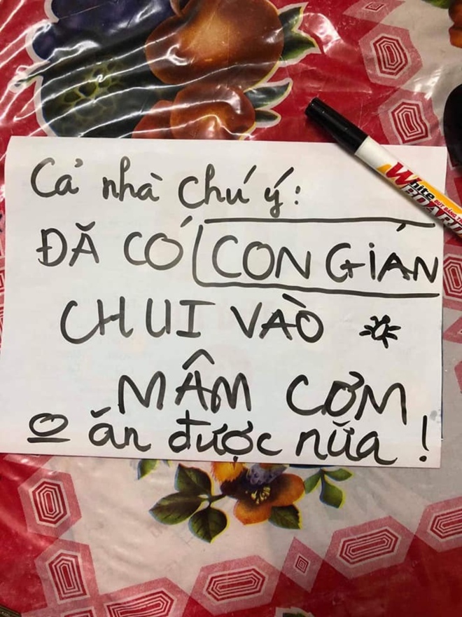 Sợ hãi tột độ trước sự hiện diện của loài gián khắp mặt trận ăn uống - Ảnh 9.