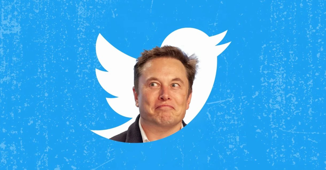 Elon Musk thừa nhận không biết ai là CEO Twitter - Ảnh 1.
