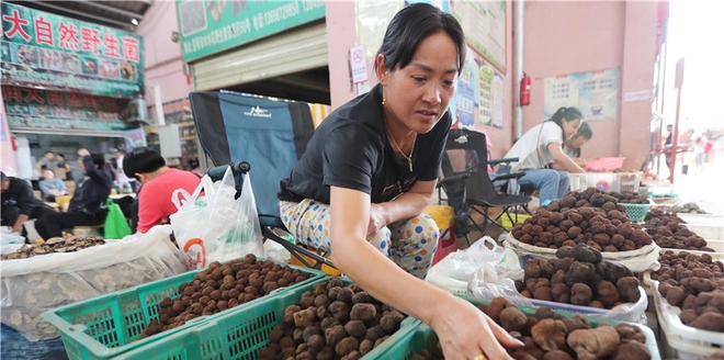Một ngày ở chợ nấm Côn Minh - nơi bán thức quà của đất đắt đỏ bậc nhất thế giới - Ảnh 9.