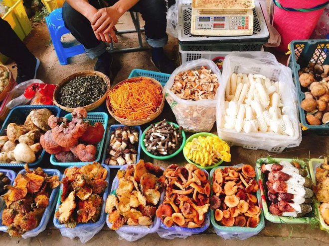 Một ngày ở chợ nấm Côn Minh - nơi bán thức quà của đất đắt đỏ bậc nhất thế giới - Ảnh 3.