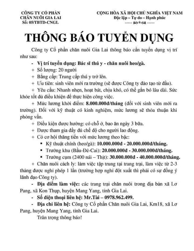 Bầu Đức chiêu mộ bác sĩ thú y chăm đàn gà - heo, trả lương hậu hĩnh đến 40 triệu/tháng - Ảnh 2.