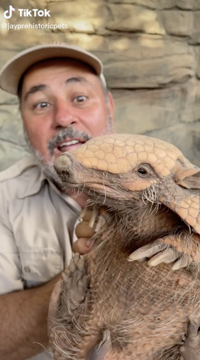 Eyes wide in front of the man who specializes in "making friends" with super-terrible animals in the zoo - Photo 8.