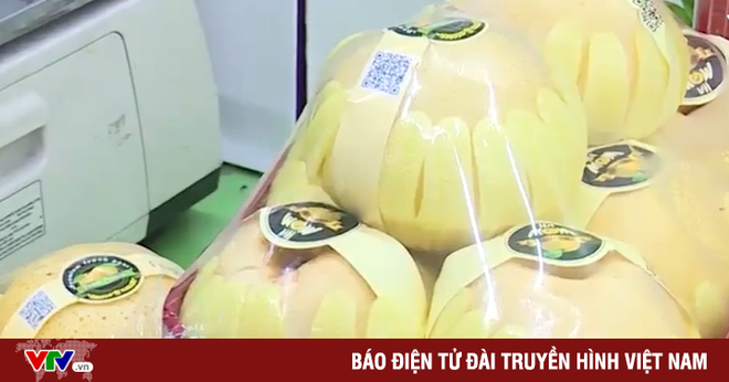 Vạch trần thủ đoạn gian dối xuất xứ l&ecirc; H&agrave;n Quốc - Ảnh 1.