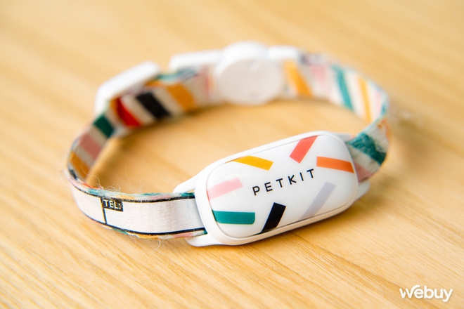 D&ugrave;ng thử v&ograve;ng theo d&otilde;i sức khỏe th&uacute; cưng Petkit Fit 3: Rẻ, đẹp, pin si&ecirc;u bền - Ảnh 3.