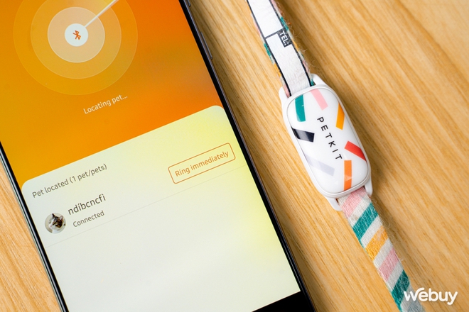 D&ugrave;ng thử v&ograve;ng theo d&otilde;i sức khỏe th&uacute; cưng Petkit Fit 3: Rẻ, đẹp, pin si&ecirc;u bền - Ảnh 7.