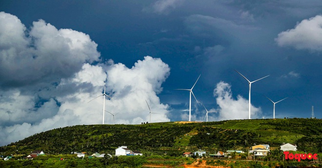 Trầm trồ với khung cảnh c&aacute;nh đồng điện gi&oacute; Cầu Đất Đ&agrave; Lạt - Ảnh 7.