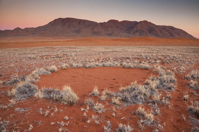 Lời giải đáp về vòng tròn bí ẩn ở hoang mạc khiến các nhà khoa học đau đầu 50 năm qua - Ảnh 2.