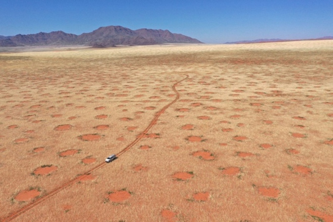 Lời giải đáp về vòng tròn bí ẩn ở hoang mạc khiến các nhà khoa học đau đầu 50 năm qua - Ảnh 1.