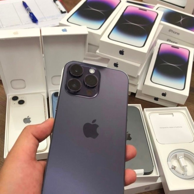 Cục Quản l&yacute; thị trường TP.HCM rao b&aacute;n 42 chiếc iPhone 14 c&oacute; gi&aacute; hơn 1,4 tỷ đồng - Ảnh 2.