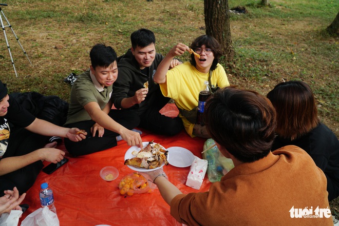 Người dân Thủ đô lên rừng thông Ba Vì cắm trại, ngắm ‘con đường Hàn Quốc’ - Ảnh 2.