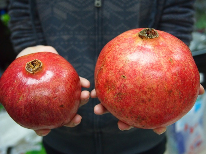 Xem trái cây dù thấy giảm giá siêu rẻ cũng chớ nên mua 4 loại có đặc điểm này - Ảnh 1.