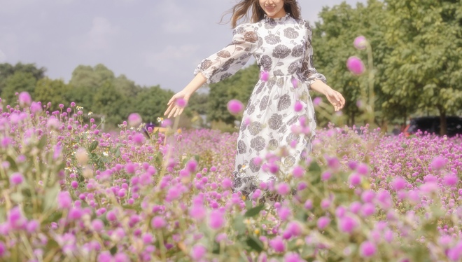 Giới trẻ n&ocirc; nức check-in m&ugrave;a hoa b&aacute;ch nhật t&iacute;m thơ mộng giữa l&ograve;ng H&agrave; Nội - Ảnh 1.