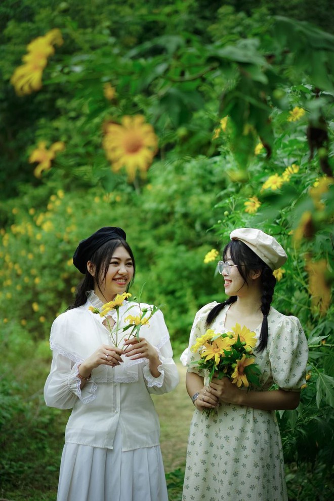 Hoa dã quỳ bung nở nơi núi rừng Điện Biên - Ảnh 2.