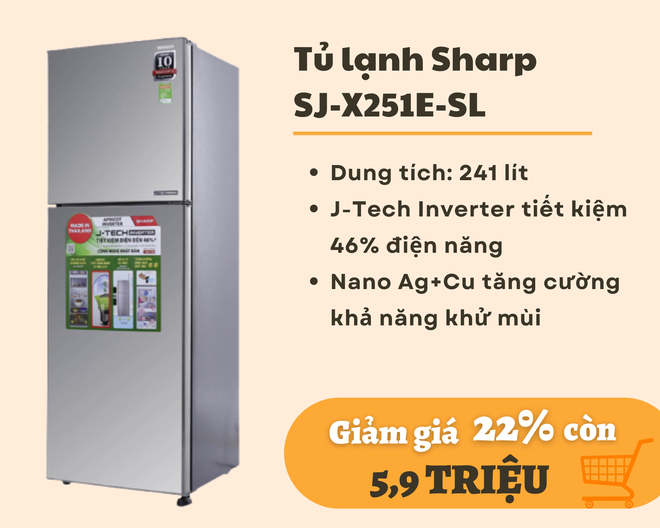 Mẫu tủ lạnh dưới 10 triệu đang giảm giá mạnh dịp cận Tết phù hợp với gia đình từ 3-4 người - Ảnh 1.