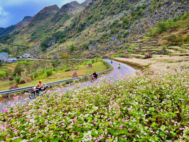 Du khách ùn ùn đổ về, Hà Giang tắc đường, chợ đêm Đồng Văn đông nghẹt thở - Ảnh 10.