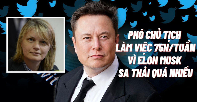 Ác mộng của Phó chủ tịch Twitter: Phải làm việc hơn 75 giờ/tuần vì Elon Musk đã đuổi quá nhiều người - Ảnh 1.