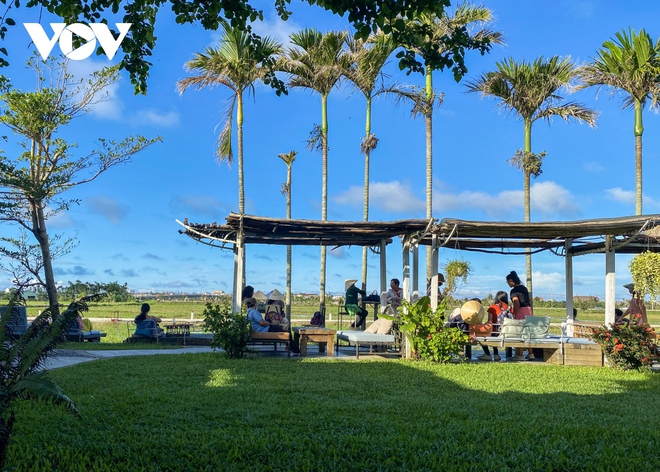 Đằng sau c&acirc;u chuyện bữa tối ngh&igrave;n đ&ocirc; tr&ecirc;n c&aacute;nh đồng Hội An - Ảnh 1.