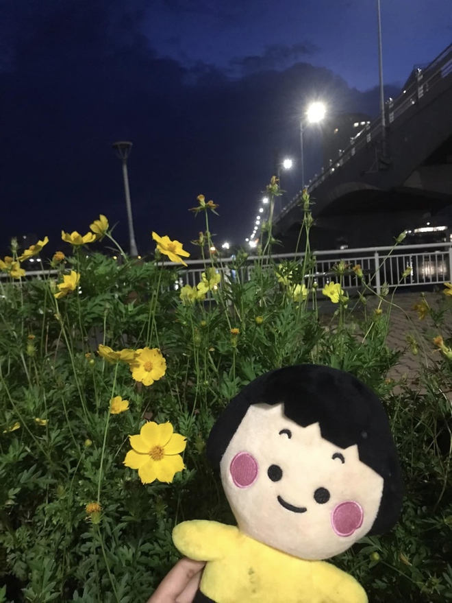Ra cầu sông Hàn học bài lúc 4 giờ sáng, cô gái gặp phải sự việc không ngờ - Ảnh 4.
