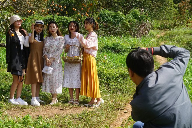 Vườn hồng trăm tuổi trĩu quả ở Nghệ An thu hút giới trẻ - Ảnh 2.