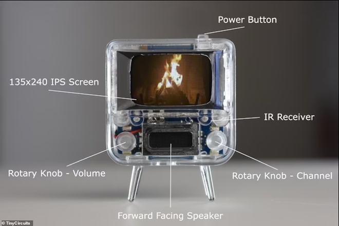 Cận cảnh bộ đôi tivi tí hon, độc nhất vô nhị thế giới - Ảnh 4.