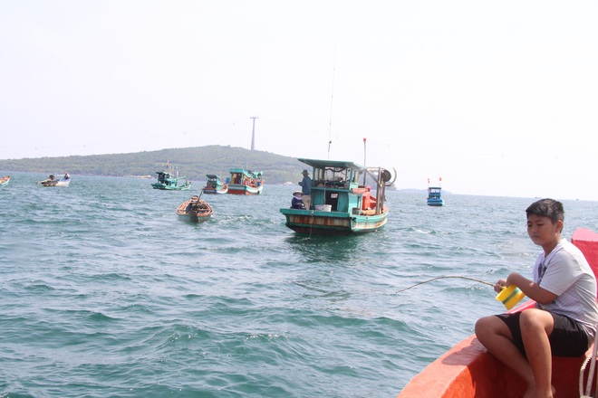 M&ugrave;a nước mực lại về, ngư d&acirc;n Ph&uacute; Quốc săn mực cả ng&agrave;y lẫn đ&ecirc;m - Ảnh 5.