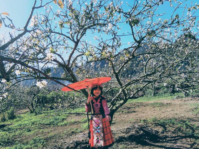 Tận hưởng kh&ocirc;ng kh&iacute; trong l&agrave;nh nơi đồi ch&egrave; xanh mướt Mộc Ch&acirc;u - Ảnh 6.