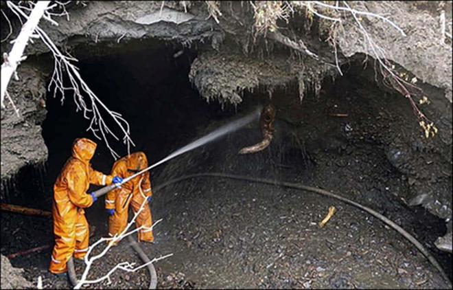 Nghề đ&agrave;o x&aacute;c động vật cổ đại với thu nhập tr&ecirc;n trời nhưng kh&ocirc;ng phải ai cũng d&aacute;m l&agrave;m - Ảnh 6.