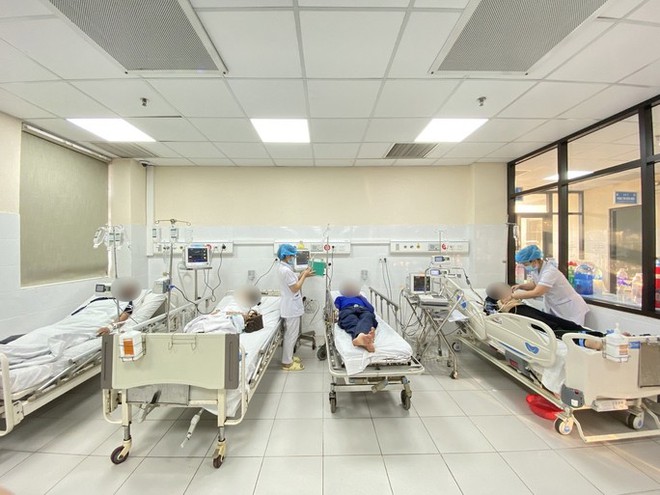 Đ&agrave;n ong mật khổng lồ h&agrave;ng ng&agrave;n con bất ngờ tấn c&ocirc;ng nh&oacute;m người chơi thể thao - Ảnh 1.