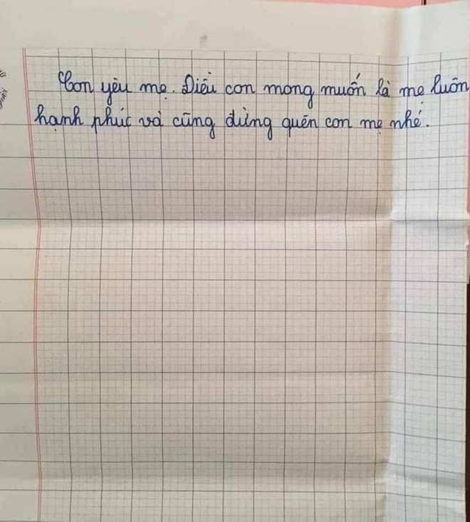 Bức thư gửi mẹ của cô bé lớp 5 khiến người đọc rơi nước mắt - Ảnh 4.