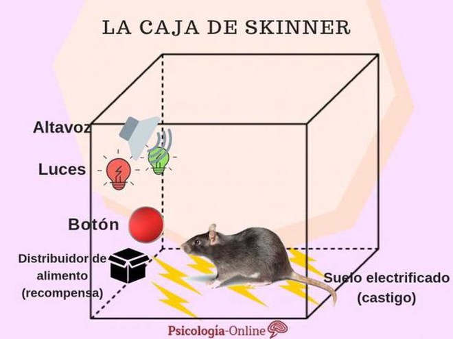 Ba thí nghiệm tâm lý này đã hé lộ sự thật về cách trẻ em trưởng thành - Ảnh 2.