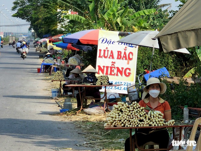 Cuối thu, đầu đ&ocirc;ng nhớ củ niễng Nam Định - Ảnh 2.