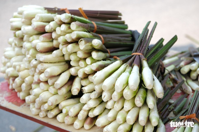 Cuối thu, đầu đ&ocirc;ng nhớ củ niễng Nam Định - Ảnh 1.