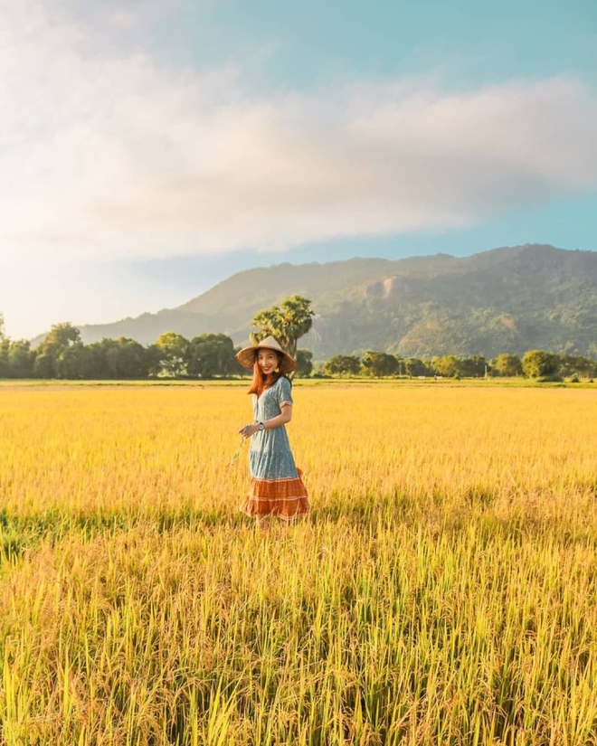 Cánh đồng độc đáo nhất miền Tây đẹp như tranh vẽ với các thửa ruộng màu sắc - Ảnh 7.