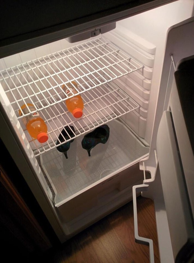 Những phát hiện bất ngờ bên trong tủ lạnh khiến dân tình không thể nhịn cười - Ảnh 10.